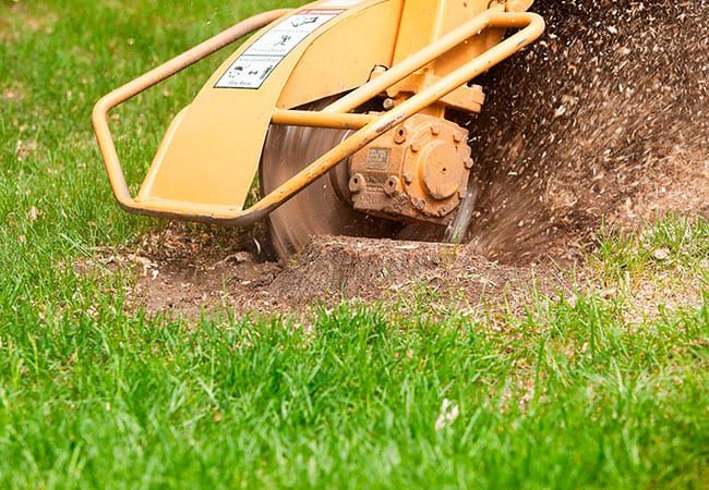 Der bliver stubfræset